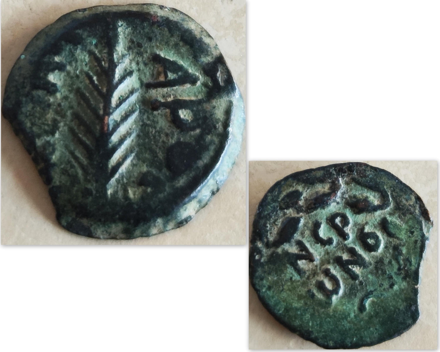 Antique Roman coin necklace, Emperor Nero Judea Province Coin, procurator Porcius Festus Silver medallion, Jewish Palm Coin Prutah charm