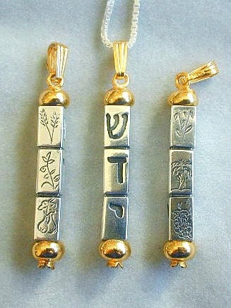 Mezuzah Pendant, Hebrew Necklace, Judaica Necklace, Spiritual Jewelry, Jewish Jewelry, Judaica Jewelry, Hebrew Jewelry, Jewish Gift, Shadai