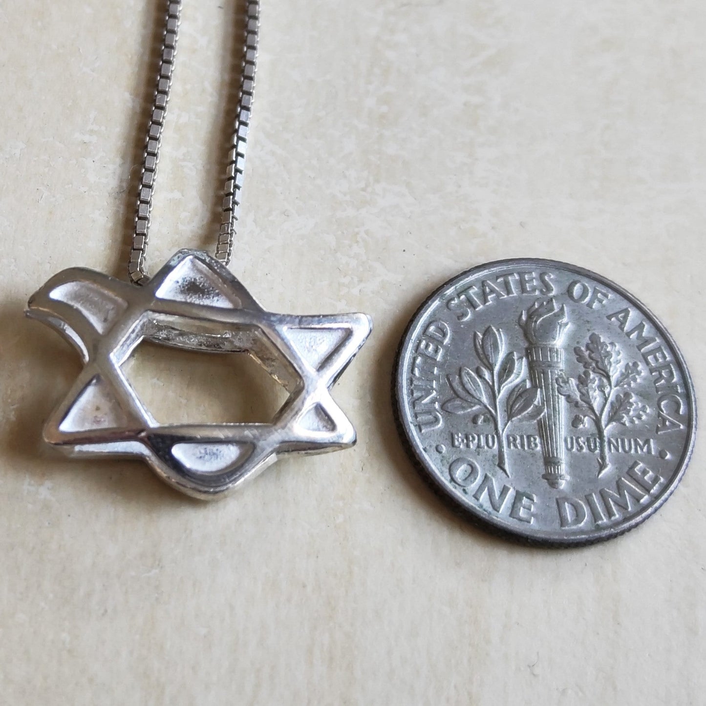 Dove Star of David Sterling Silver Necklace: 3D Jewish Christian Gift Barr Designs