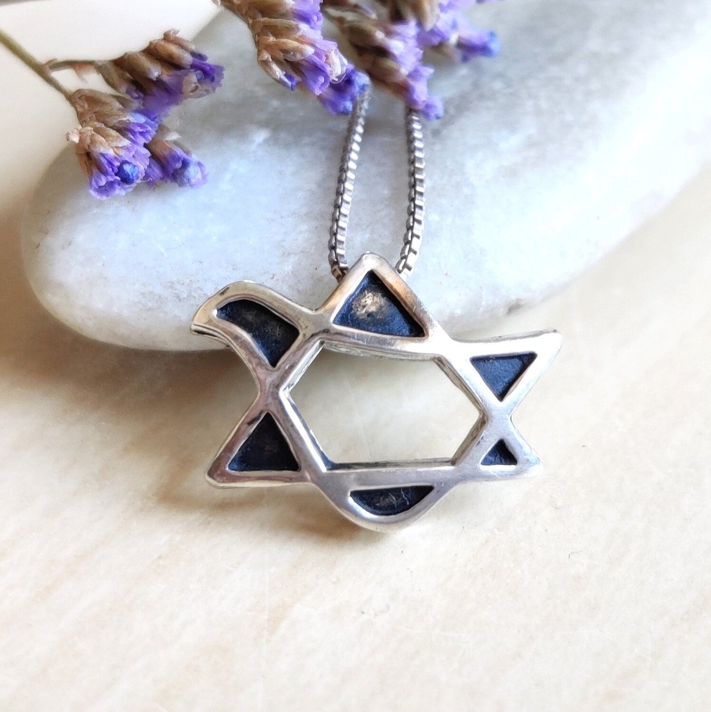 3D Sterling Silver Star of David Necklace: Peace Dove Pendant Barr Designs
