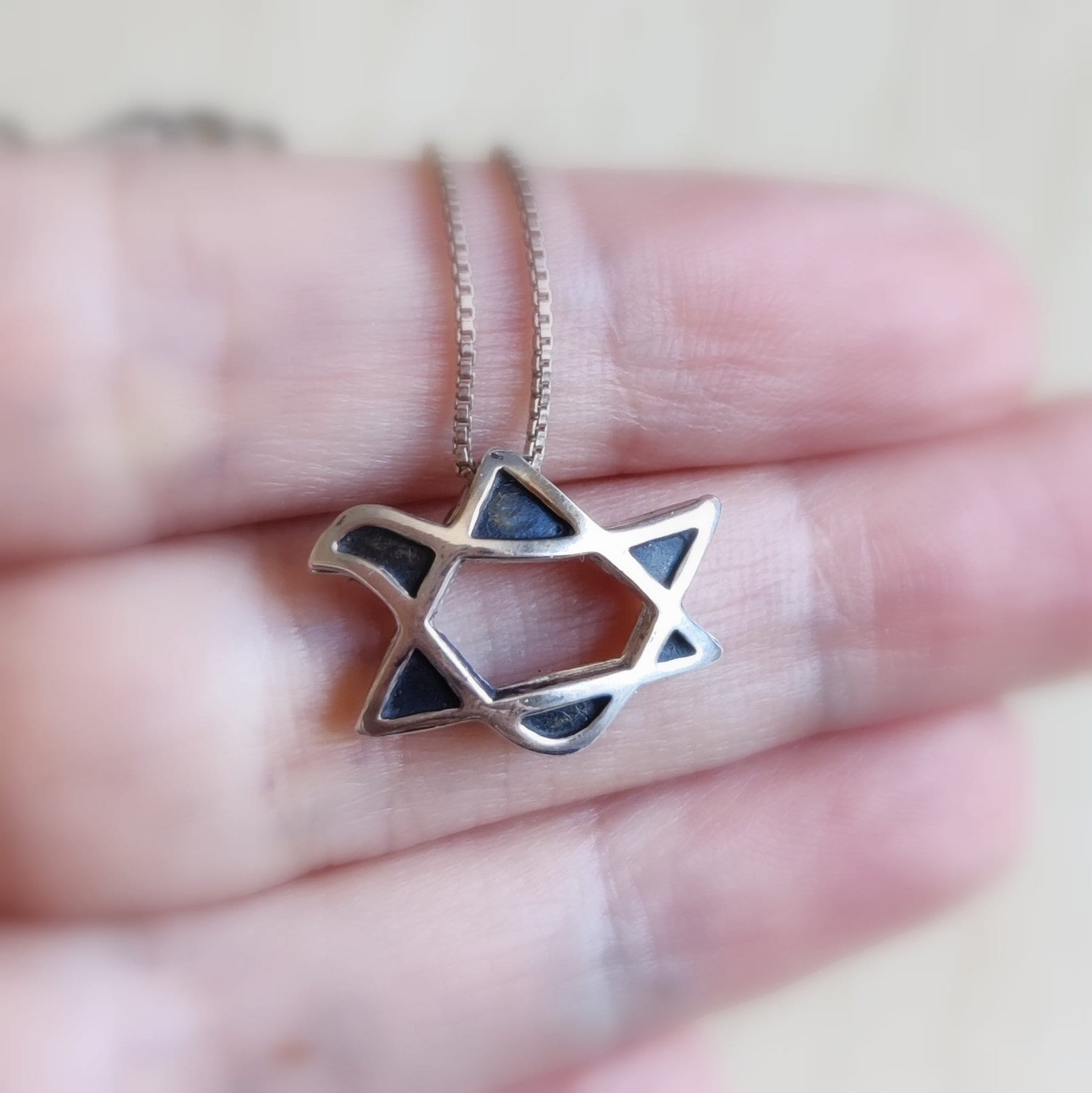 3D Sterling Silver Star of David Necklace: Peace Dove Pendant Barr Designs