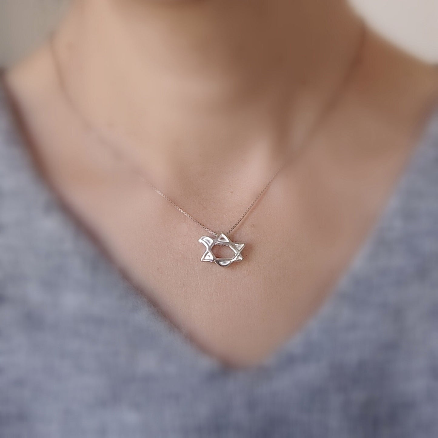 Dove Star of David Sterling Silver Necklace: 3D Jewish Christian Gift Barr Designs