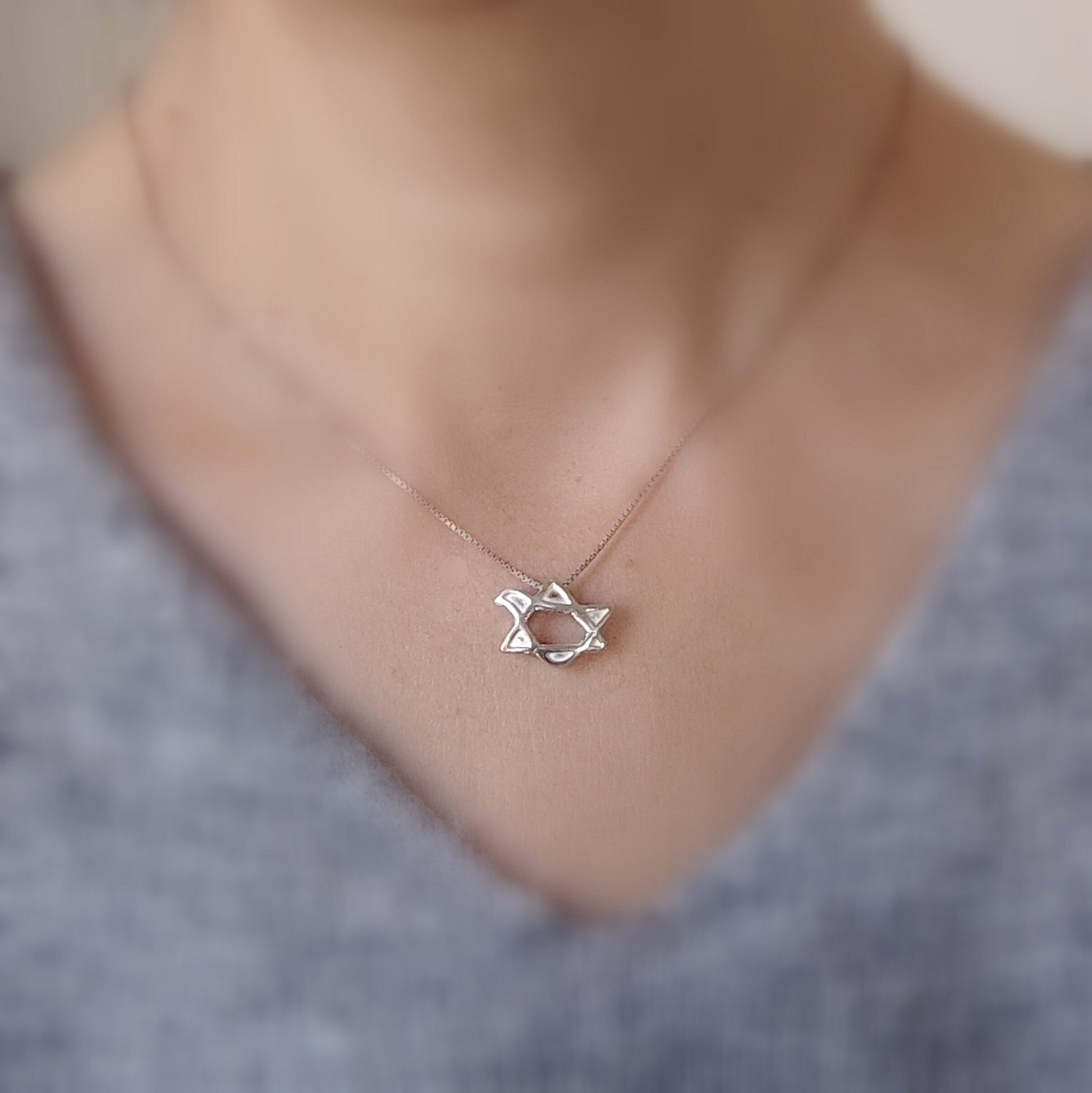 Dove Star of David Sterling Silver Necklace: 3D Jewish Christian Gift Barr Designs