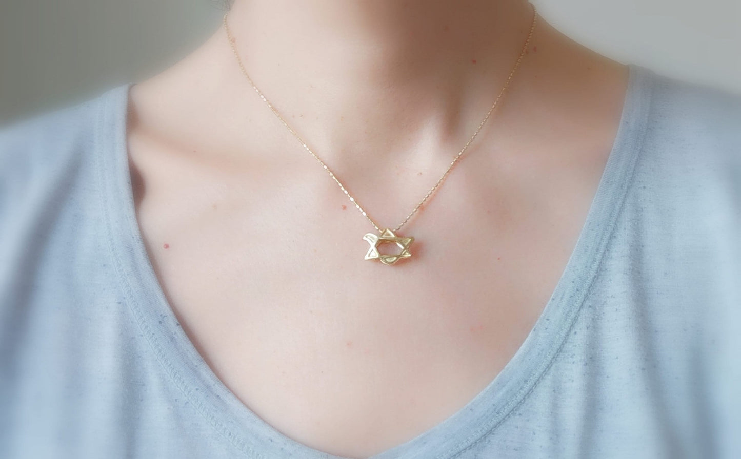 Gold Plated Dove Necklace, Star of David Peace Dove pendant, Christian gift, Jewish jewelry Barr Designs