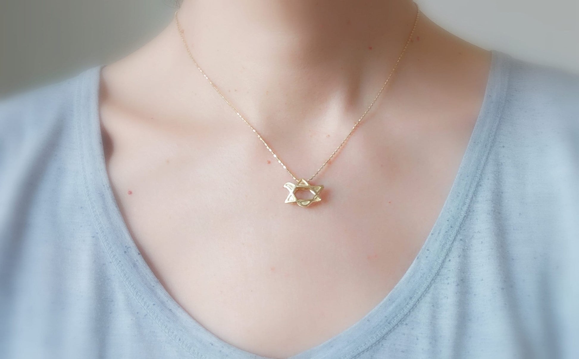 Gold Plated Dove Necklace, Star of David Peace Dove pendant, Christian gift, Jewish jewelry Barr Designs