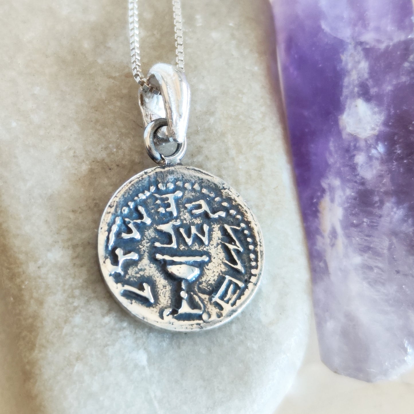 The Famous Silver Half Shekel Coin Pendant, First Jewish Revolt Replica Charm Necklace Barr Designs
