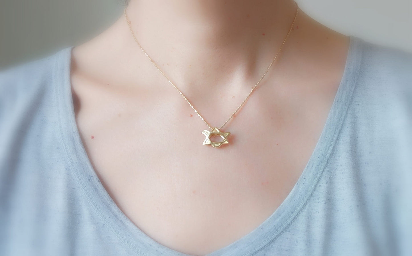 Gold Dove necklace, animal bird pendant, Star of David Peace Dove pendant, Christian gift, Jewish jewelry, girls bat mitzva gift, bridesmaid