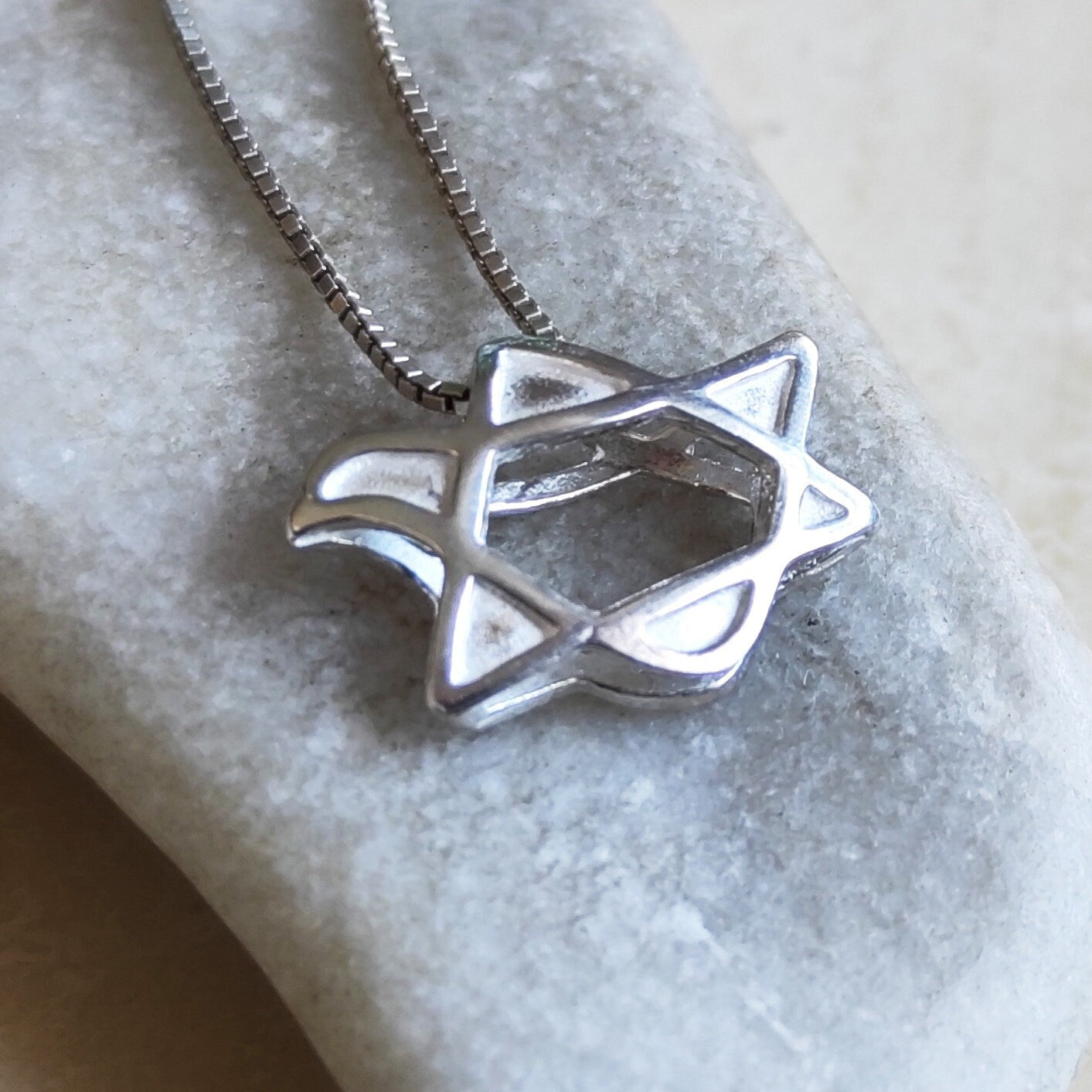 Dove Star of David Sterling Silver Necklace: 3D Jewish Christian Gift Barr Designs