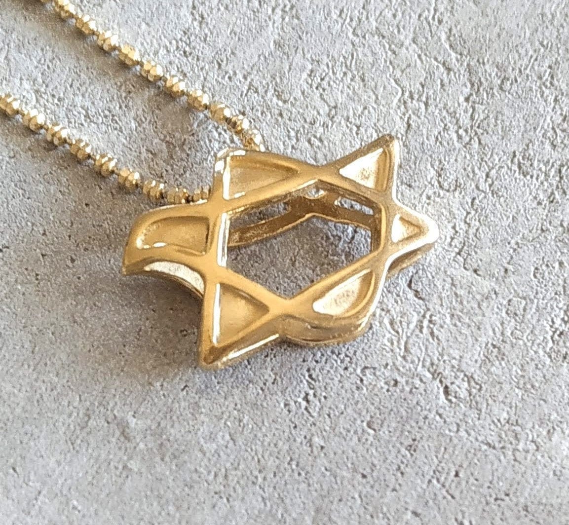 Gold Plated Dove Necklace, Star of David Peace Dove pendant, Christian gift, Jewish jewelry Barr Designs