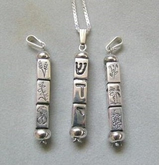 Sterling Silver Mezuzah Necklace: Kinetic Judaica Hebrew Pendant, Seven Species, Israeli Jewelry Barr Designs